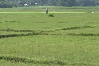 land-jagga land-jagga