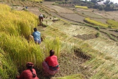 dashain-dhan- dashain-dhan-