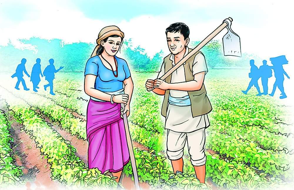 agriculter