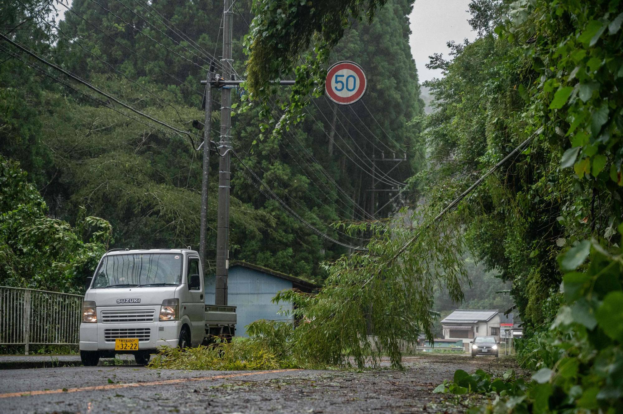 JAPAN-WEATHER-TYPHOON A car passes a fallen tree in the wake of Typhoon Nanmadol in Izumi, Kagoshima prefecture on September 19, 2022. - Typhoon Nanmadol made landfall in southwestern Japan late on September 18, as authorities urged millions of people to take shelter from the powerful storm's high winds and torrential rain. (Photo by Yuichi YAMAZAKI / AFP)