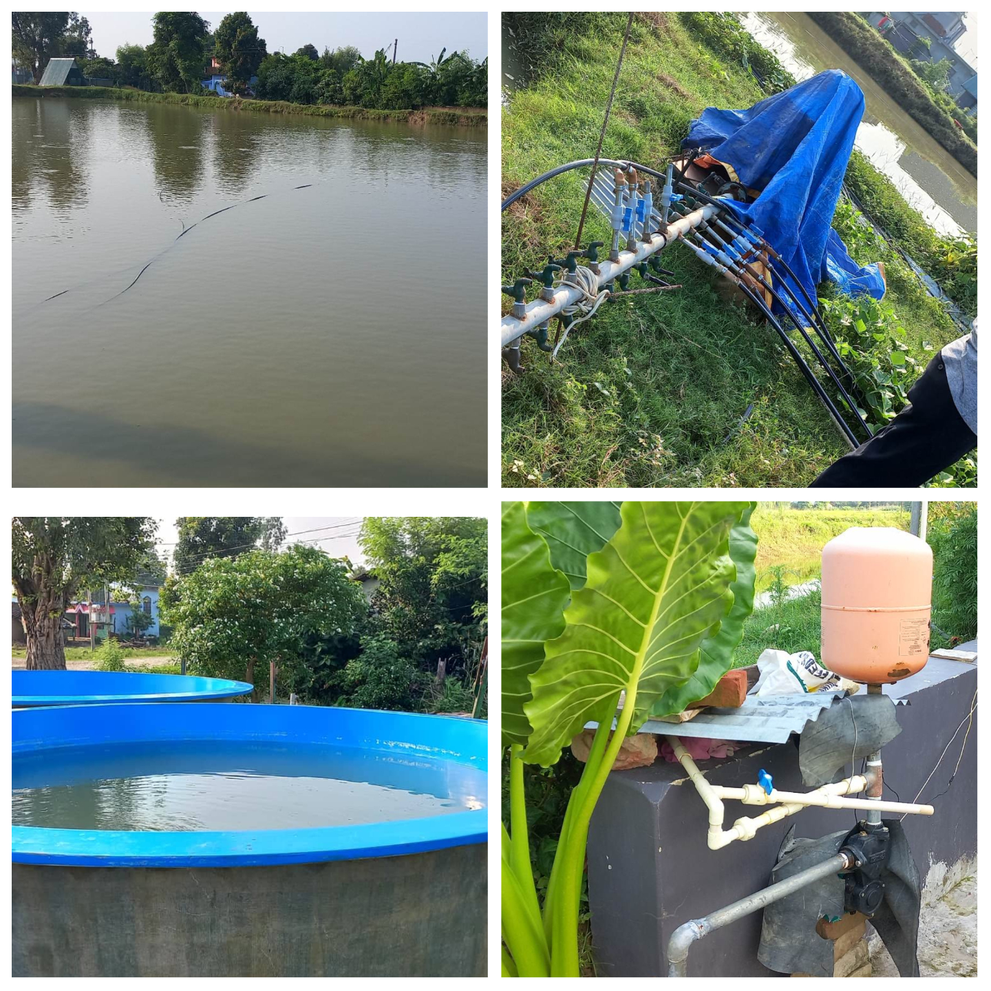 Collage Maker-06-Jan-2023-05.01-PM Collage Maker-06-Jan-2023-05.01-PM