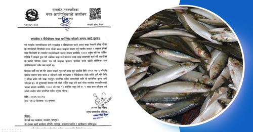 machha roka